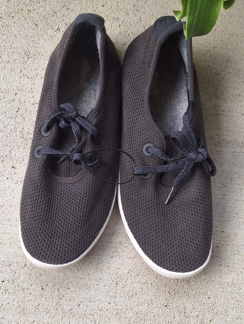 Allbirds Tree Skippers Sneakers